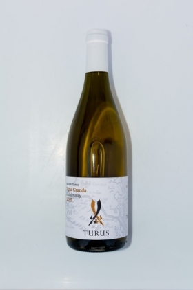 Chardonnay (bottiglia 0,75 lt.) - Cantina Turus